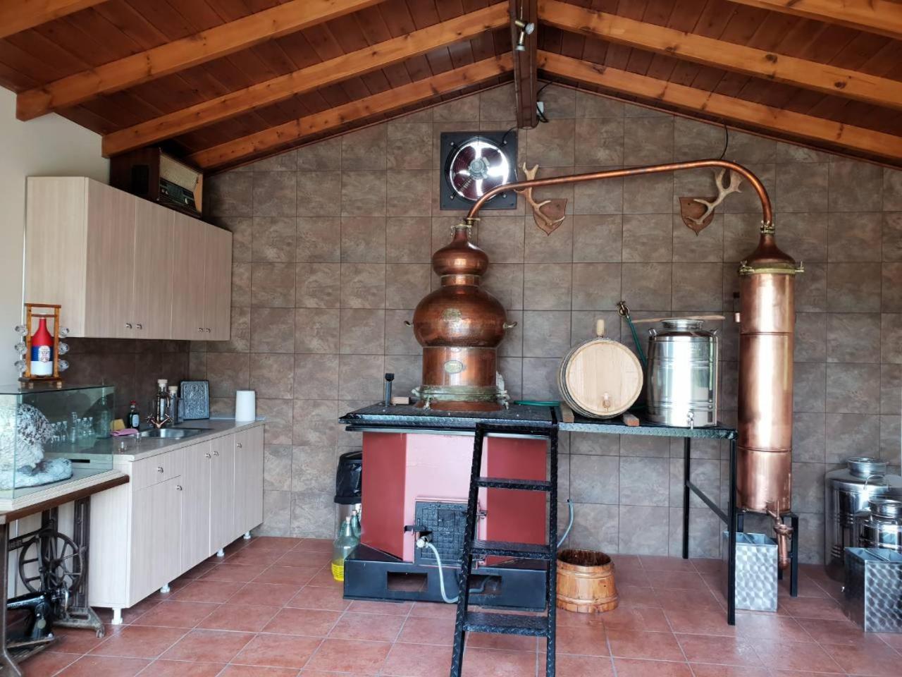 Villa Pallas Casa Panagia (Trikala)