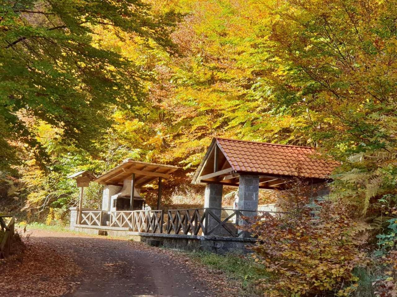 Villa Pallas Casa *